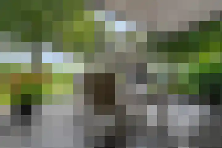 Korhoen 33 Raalte thumbnail 52