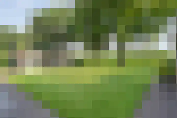 Korhoen 33 Raalte thumbnail 53