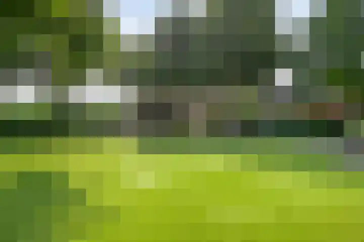 Korhoen 33 Raalte thumbnail 54