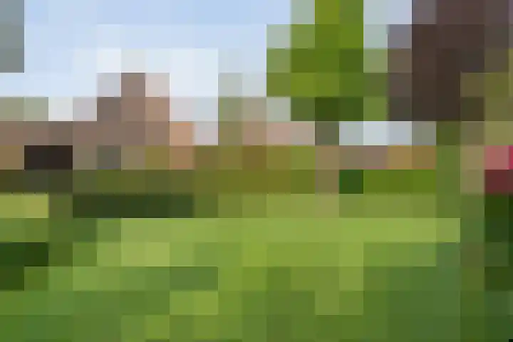Korhoen 33 Raalte thumbnail 57