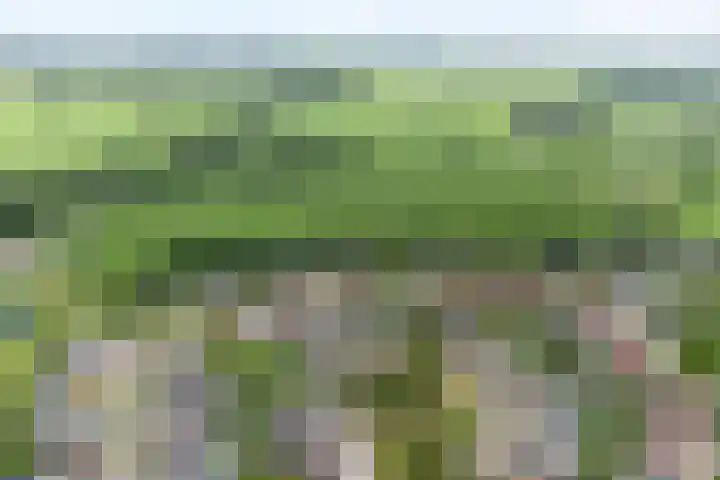 Korhoen 33 Raalte thumbnail 6