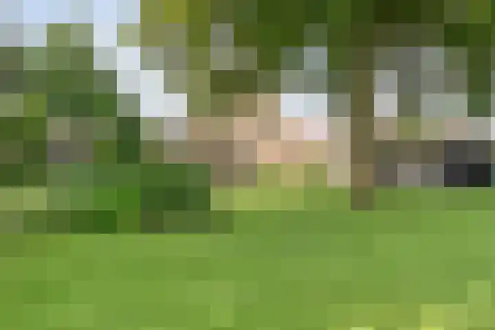 Korhoen 33 Raalte thumbnail 61
