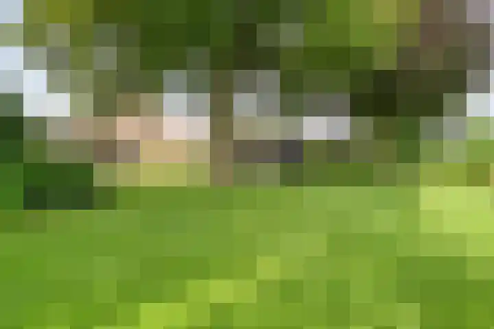 Korhoen 33 Raalte thumbnail 62