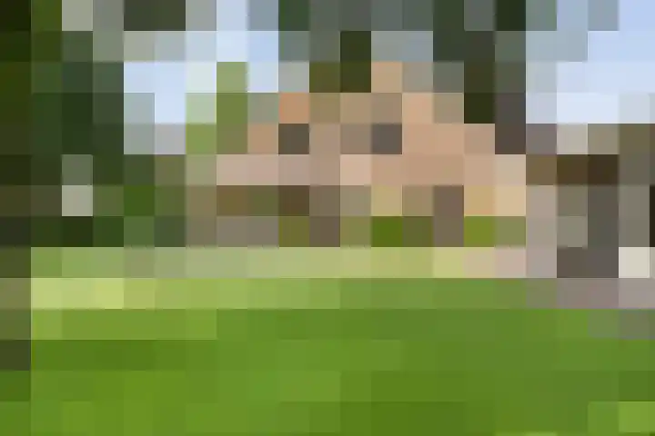 Korhoen 33 Raalte thumbnail 63