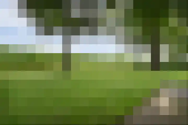 Korhoen 33 Raalte thumbnail 64
