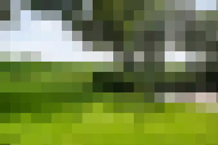 Korhoen 33 Raalte thumbnail 65
