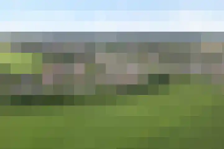 Korhoen 33 Raalte thumbnail 7
