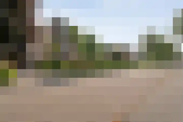 Korhoen 33 Raalte thumbnail 8