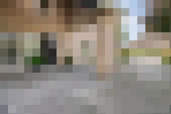 Korhoen 33 Raalte thumbnail 9