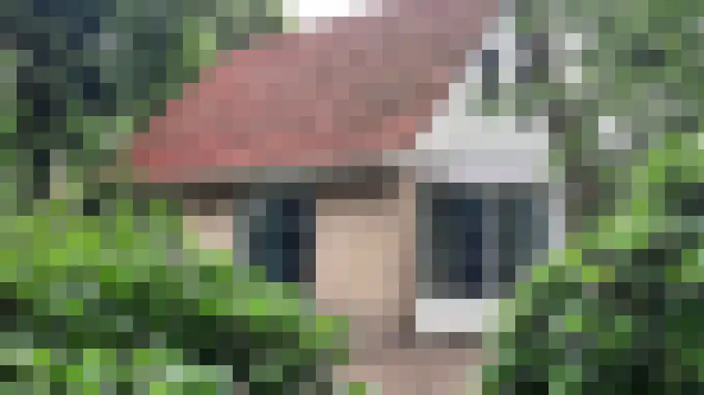 Korhoen 33 Sibculo