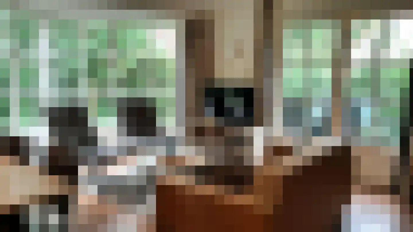 Korhoen 33 Sibculo thumbnail 6