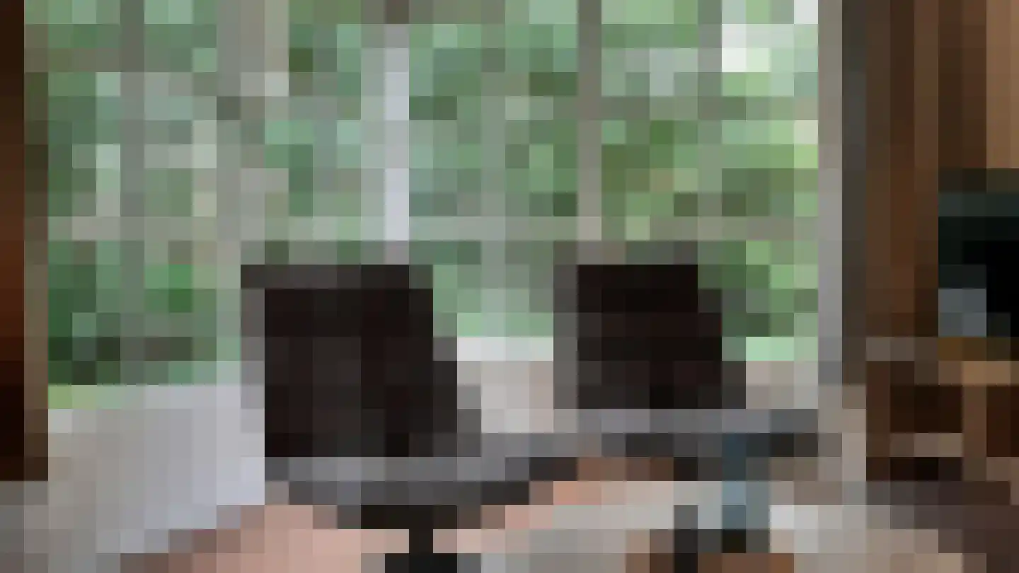 Korhoen 33 Sibculo thumbnail 7