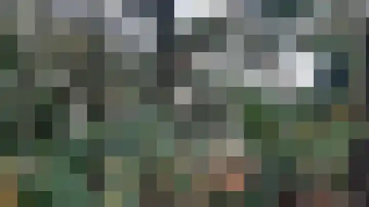Korhoen 35 Sibculo thumbnail 4