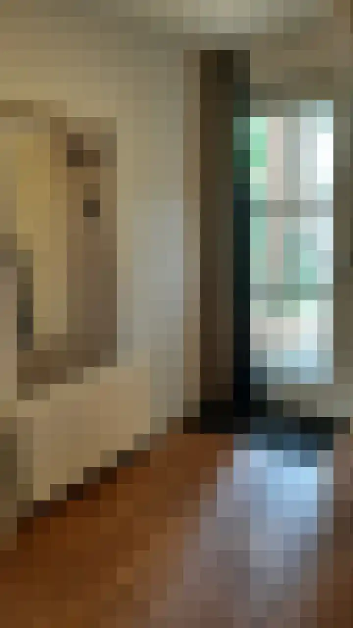 Korhoen 35 Sibculo thumbnail 6