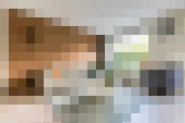 Korhoen 36 Berkel en Rodenrijs thumbnail 10