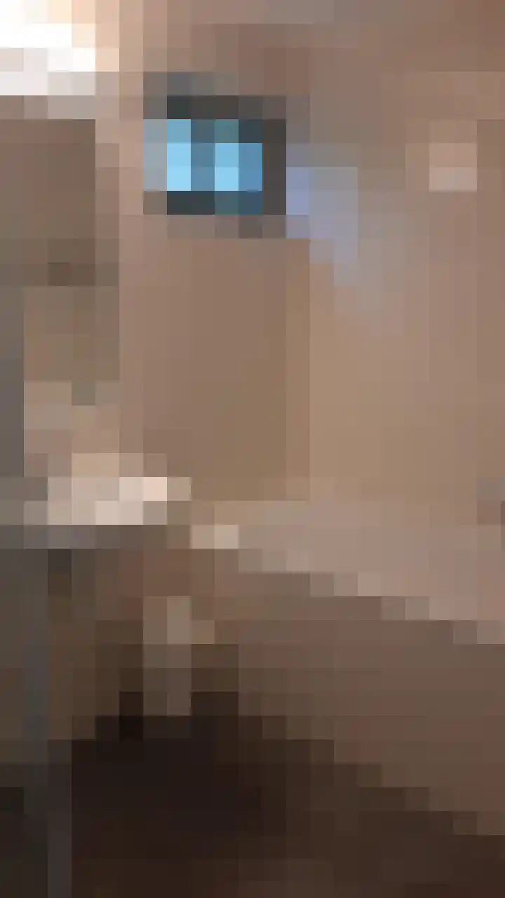 Korhoen 37 Sibculo thumbnail 15