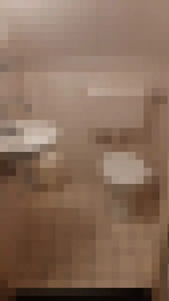Korhoen 37 Sibculo thumbnail 18