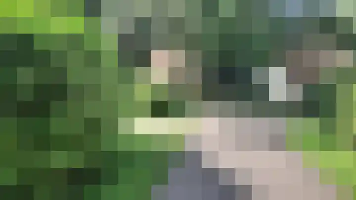 Korhoen 37 Sibculo thumbnail 5