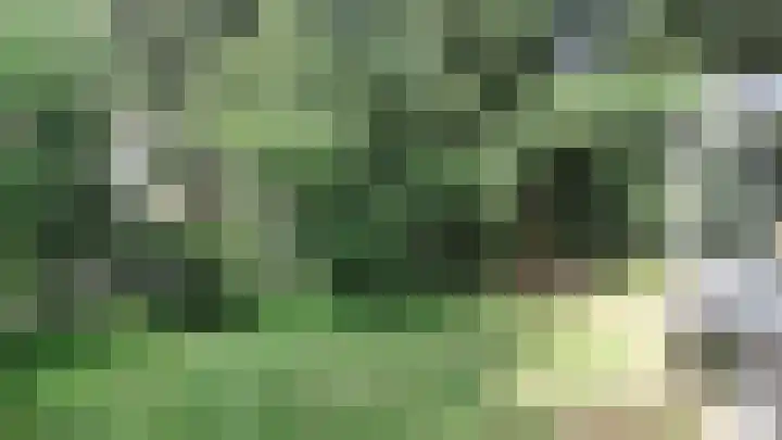 Korhoen 37 Sibculo thumbnail 6