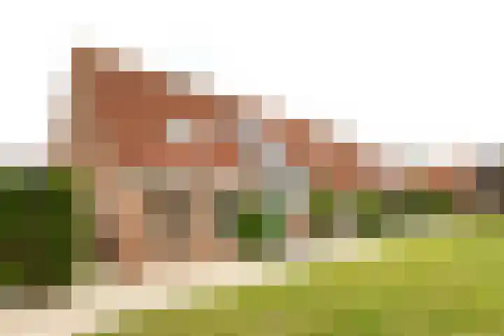 Korhoen 42 Berkel en Rodenrijs thumbnail 4
