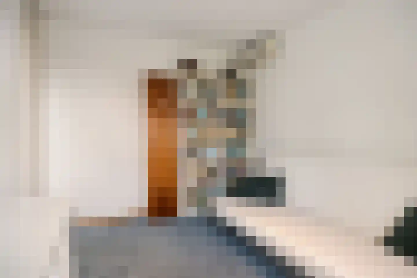 Korhoen 43 Veldhoven thumbnail 34
