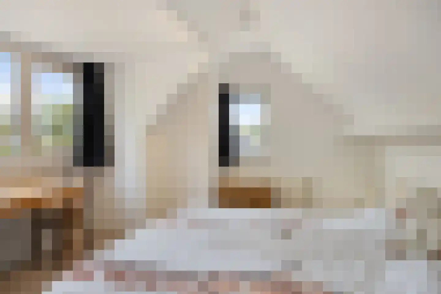 Korhoen 43 Veldhoven thumbnail 39