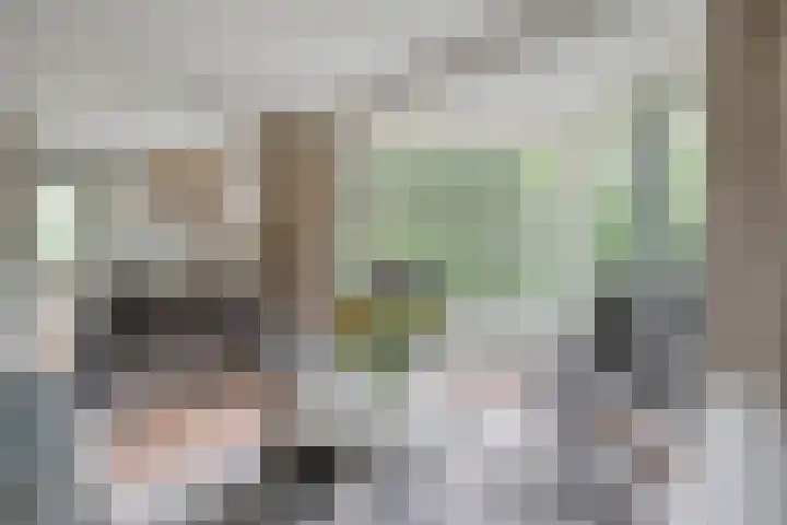 Korhoen 47 Sibculo thumbnail 11