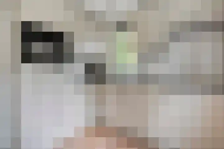 Korhoen 47 Sibculo thumbnail 15