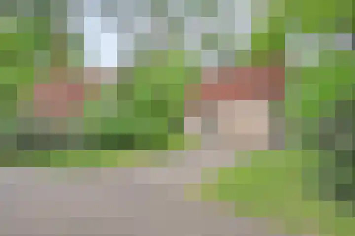Korhoen 47 Sibculo thumbnail 4