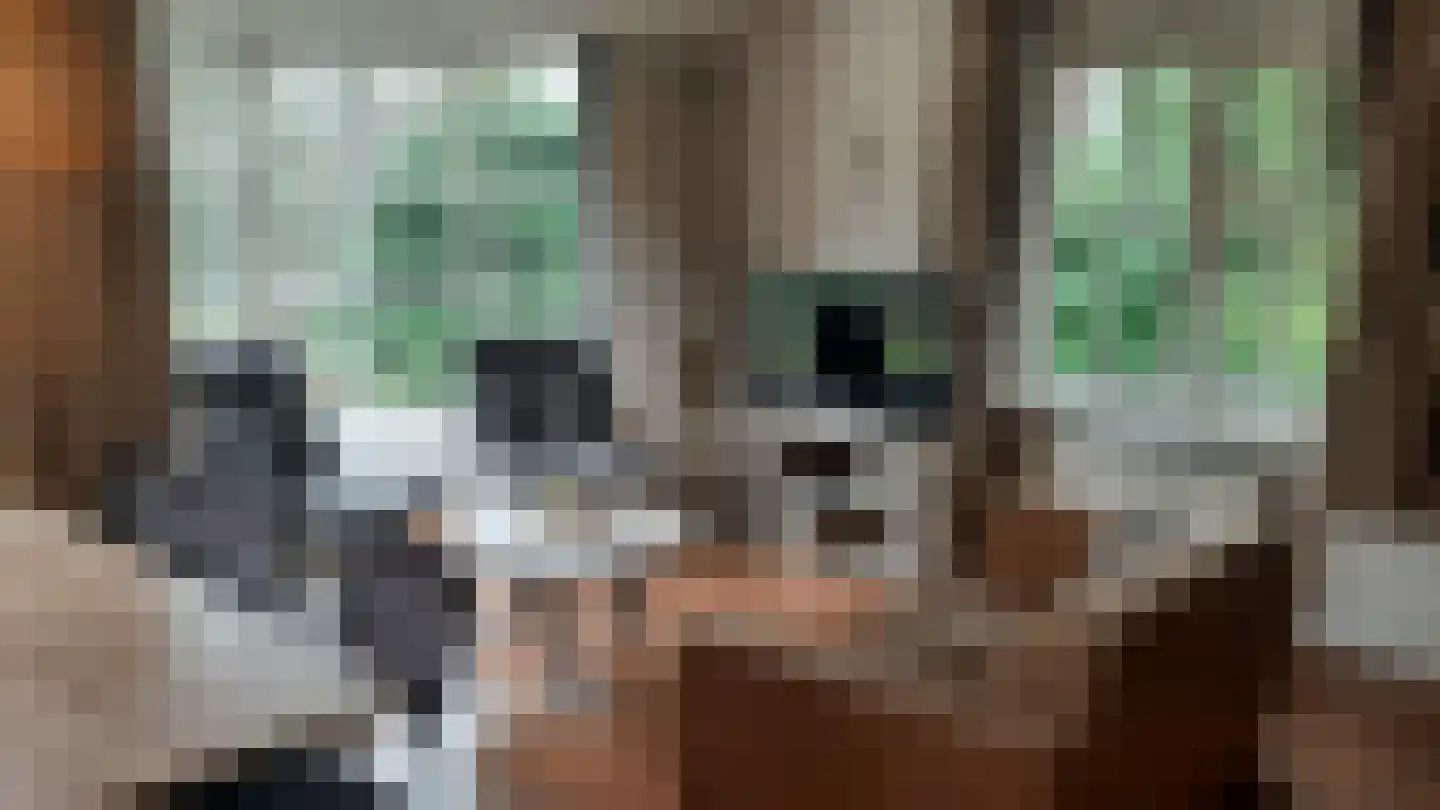Korhoen 49 Sibculo thumbnail 10