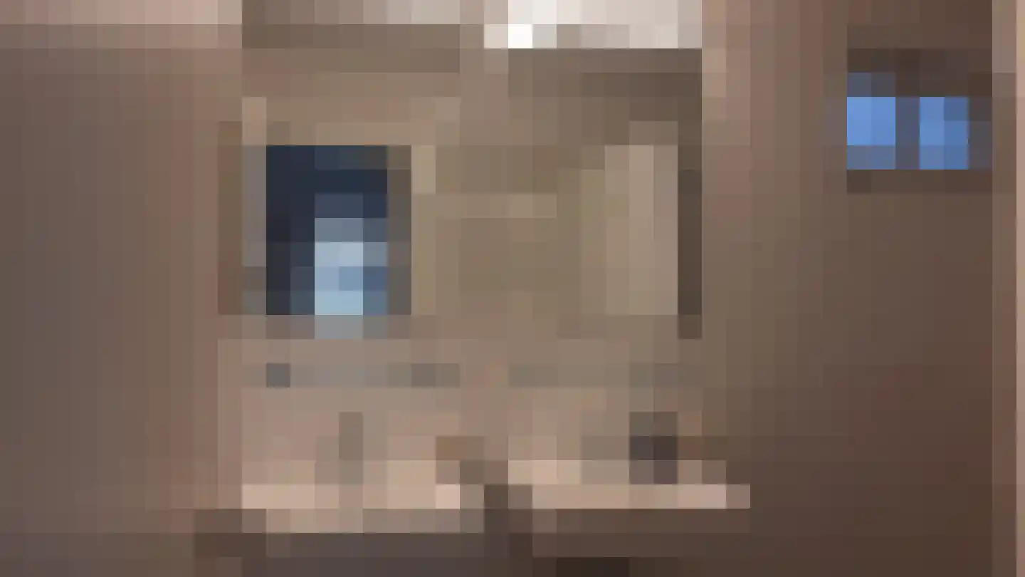 Korhoen 49 Sibculo thumbnail 12
