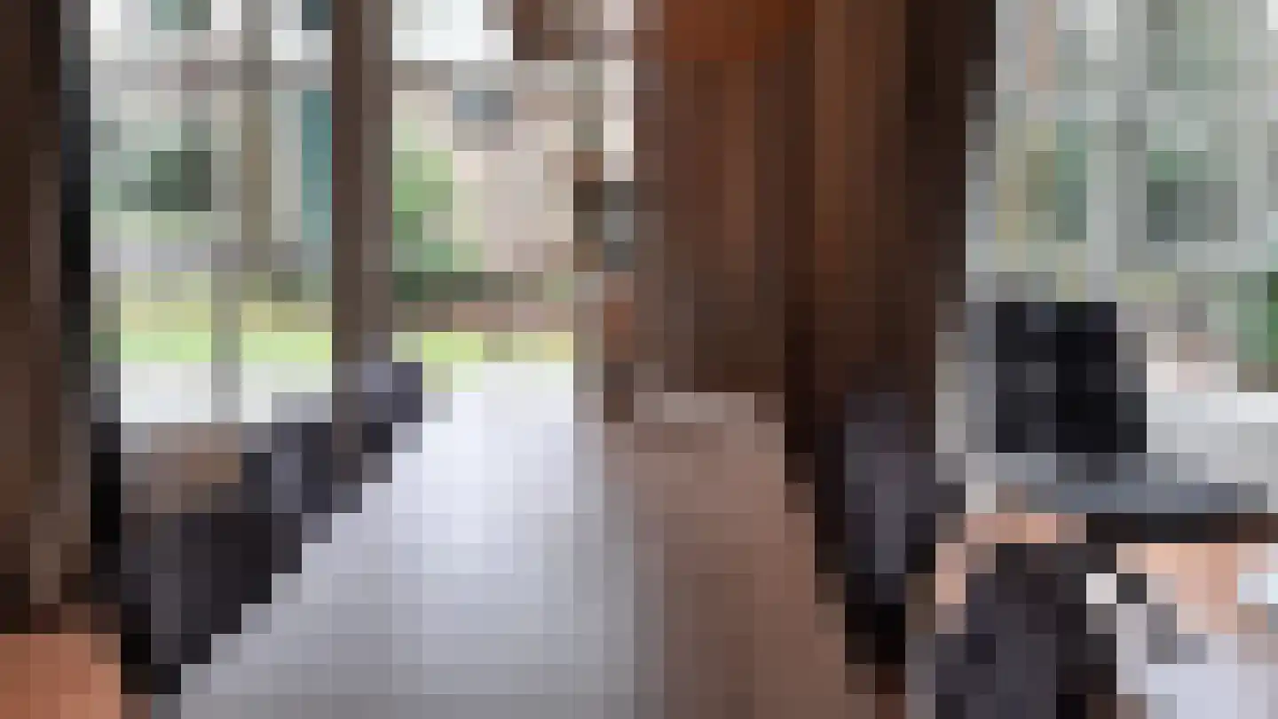 Korhoen 49 Sibculo thumbnail 9