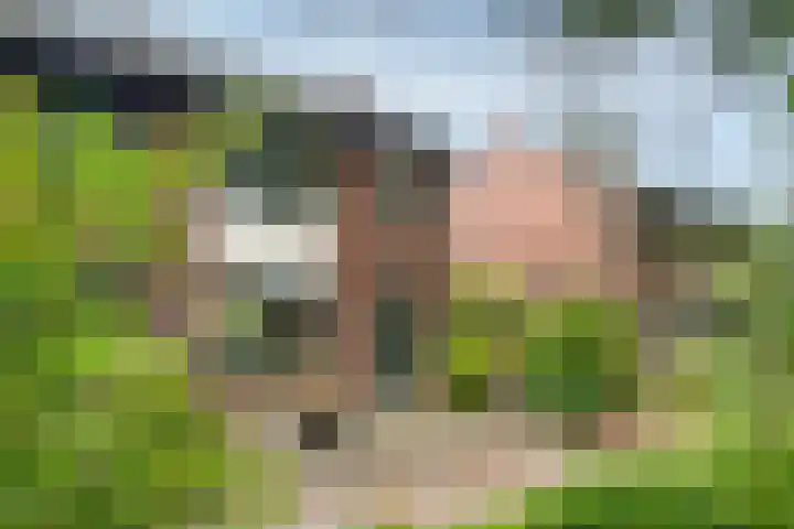 Korhoen 56 Ridderkerk thumbnail 16