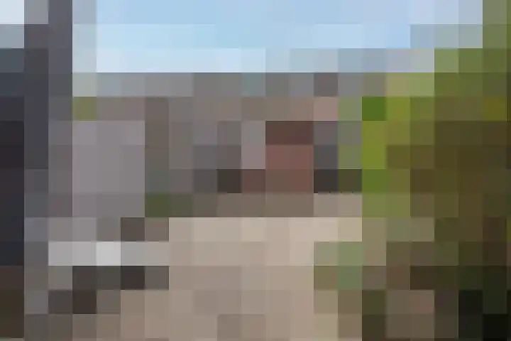 Korhoen 56 Ridderkerk thumbnail 5