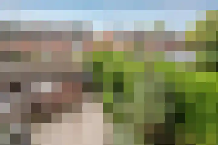 Korhoen 56 Ridderkerk thumbnail 9
