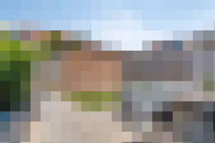 Korhoen 9 Berkel en Rodenrijs thumbnail 10