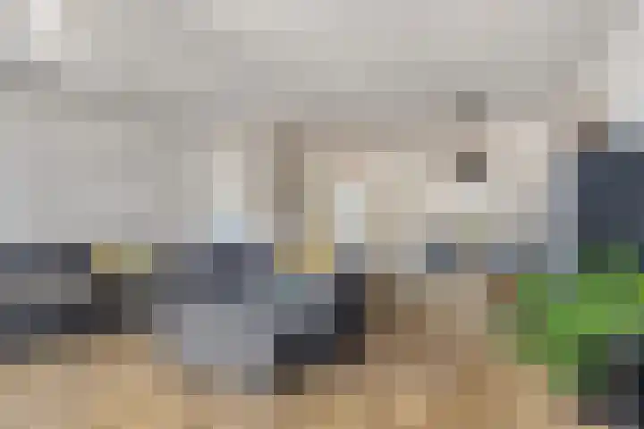 Korhoen 9 Berkel en Rodenrijs thumbnail 14