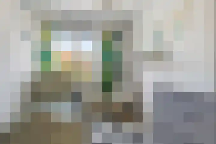 Korhoen 9 Berkel en Rodenrijs thumbnail 15