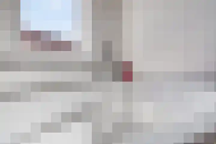 Korhoen 9 Berkel en Rodenrijs thumbnail 19