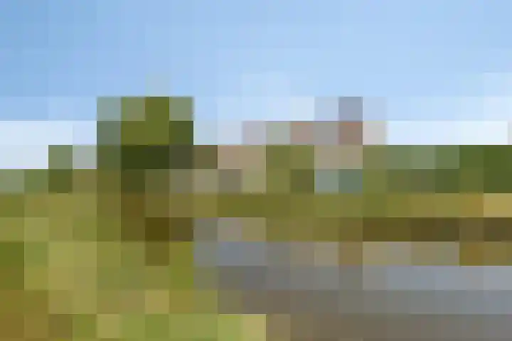 Korhoen 9 Berkel en Rodenrijs thumbnail 26
