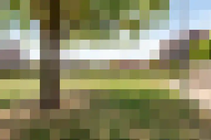 Korhoen 9 Berkel en Rodenrijs thumbnail 27