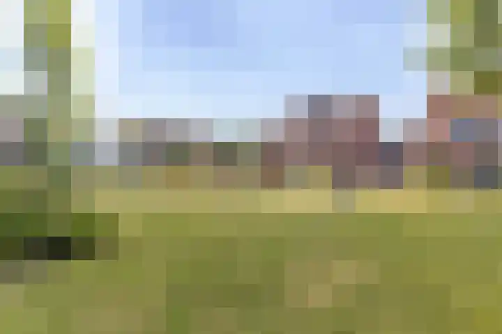 Korhoen 9 Berkel en Rodenrijs thumbnail 28