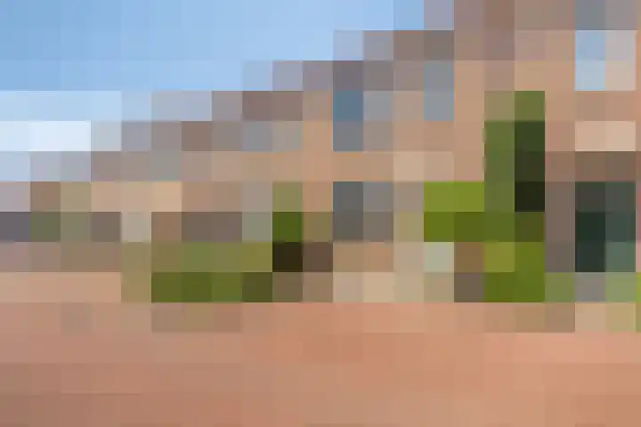 Korhoen 9 Berkel en Rodenrijs thumbnail 4