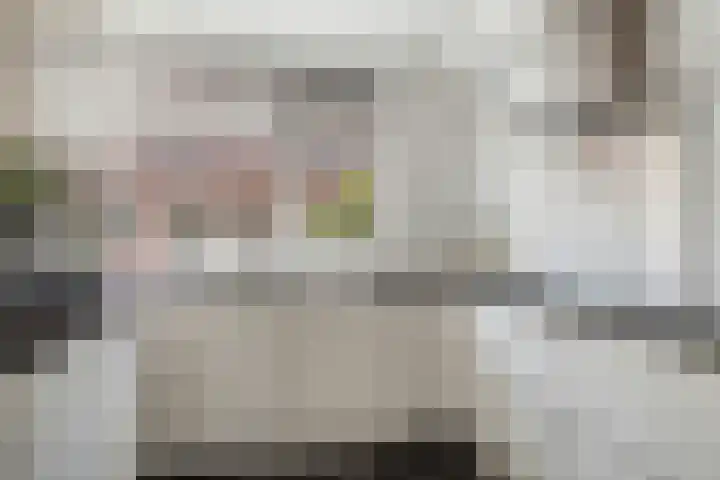 Korhoen 9 Berkel en Rodenrijs thumbnail 8