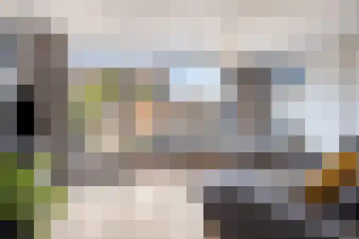 Korhoen 9 Berkel en Rodenrijs thumbnail 9