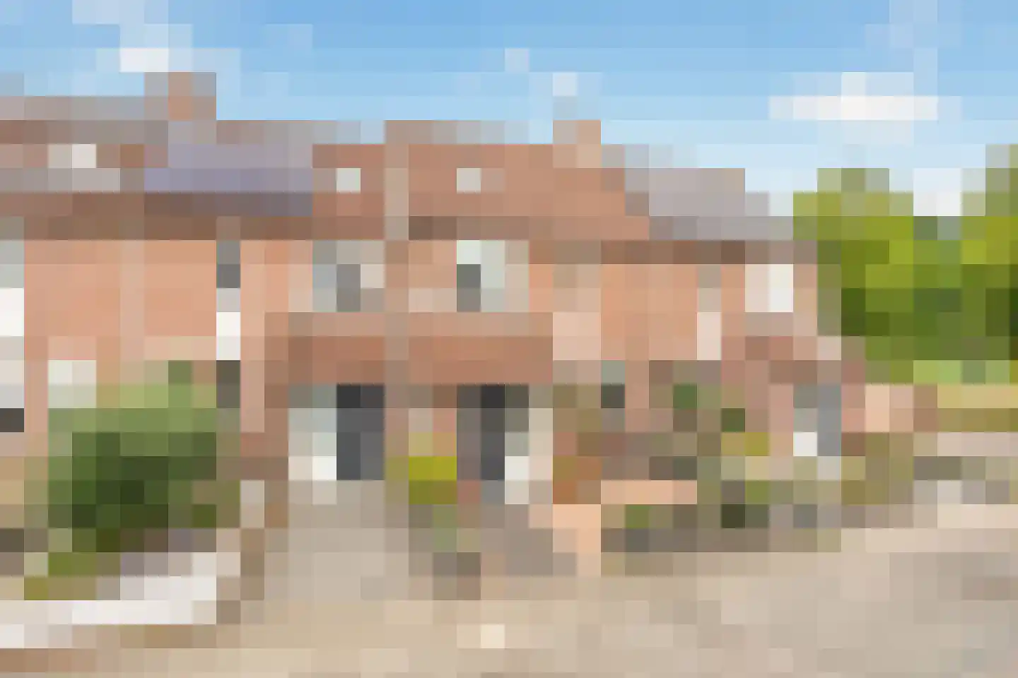 Korhoender 4 in Deurne