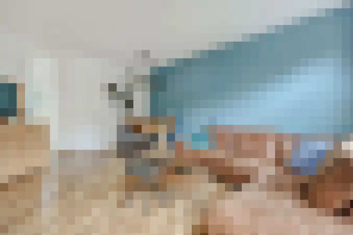 Korhoender 57 Deurne thumbnail 10