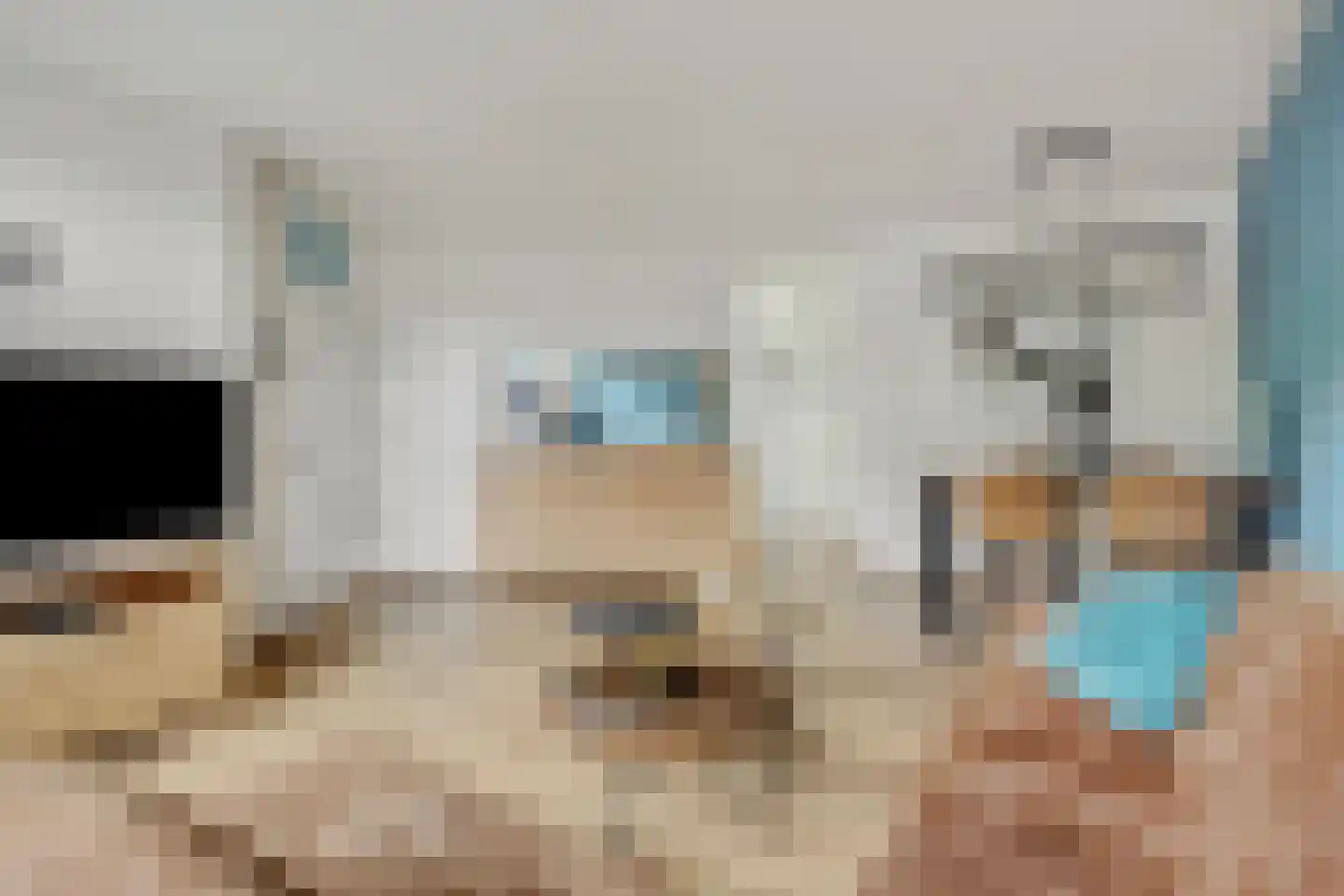 Korhoender 57 Deurne thumbnail 12