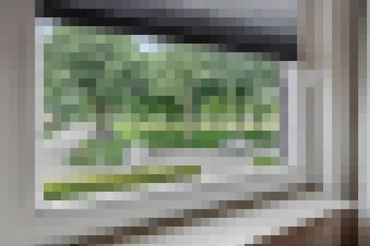 Korhoender 57 Deurne thumbnail 14