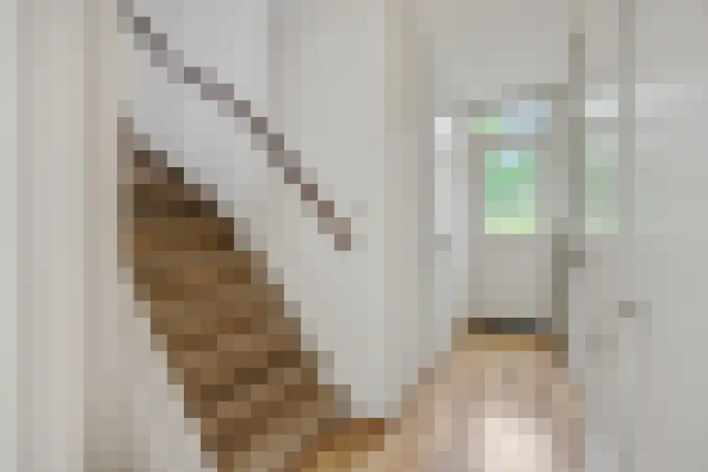 Korhoender 57 Deurne thumbnail 25